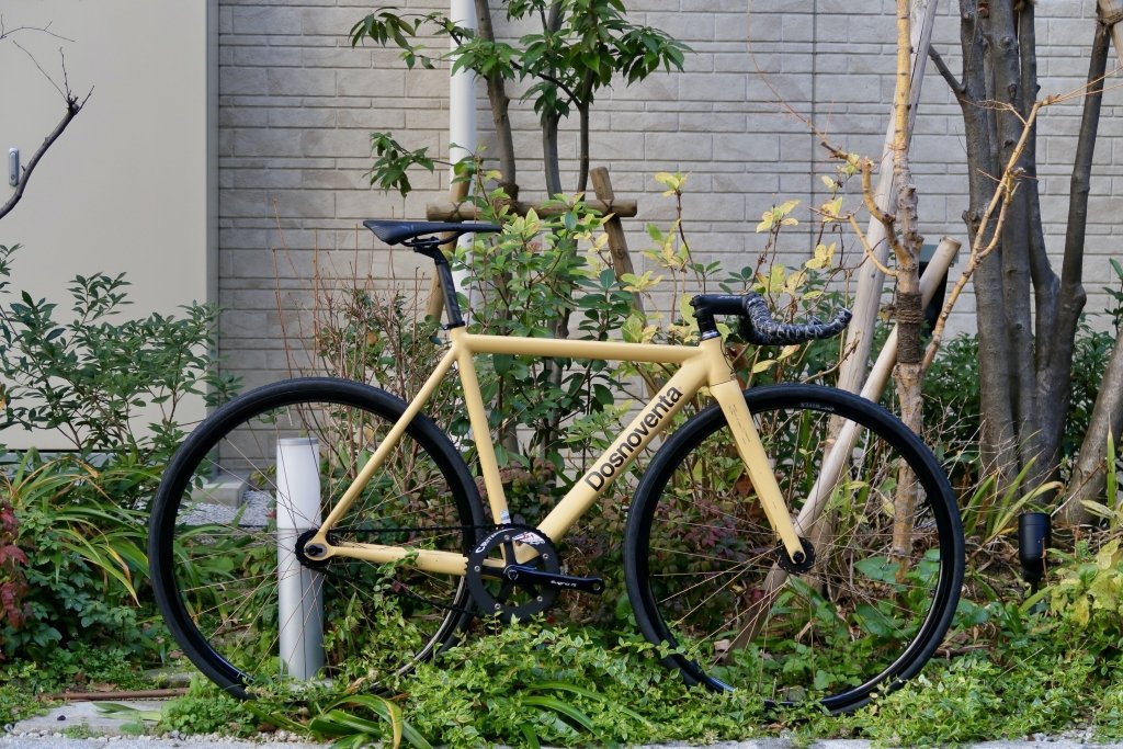 IMG_1391-3430627.jpg?v=1759566472