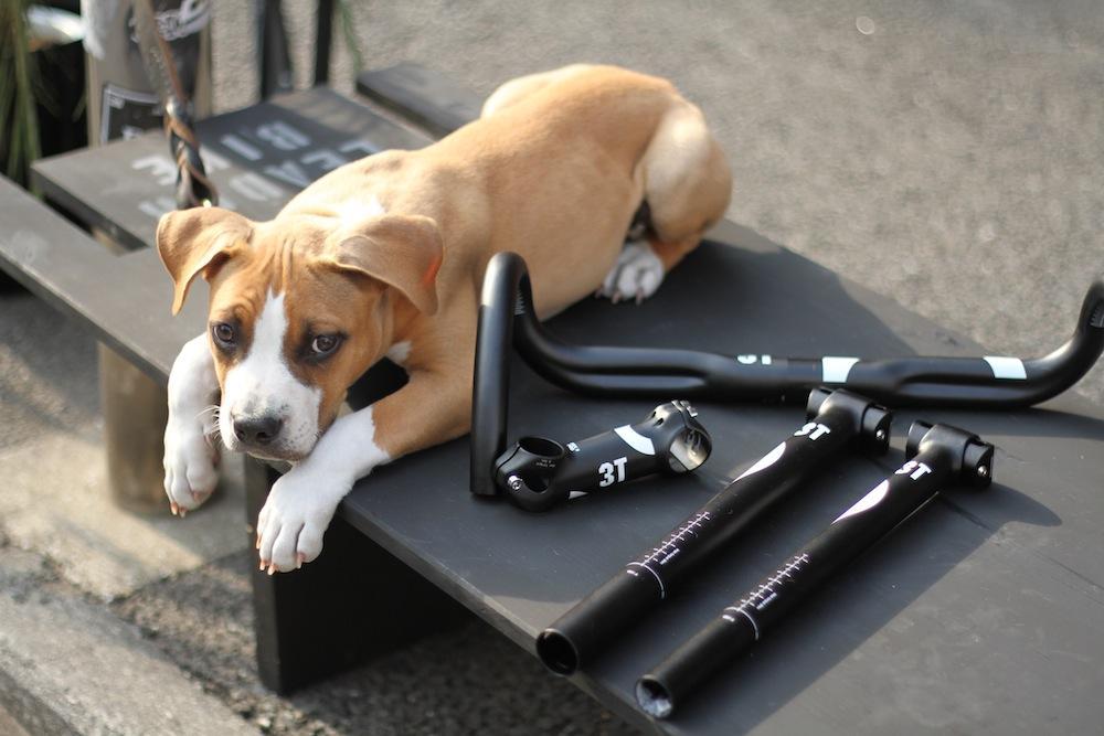 3t カーボンハンドル ベースバー ステム一体型 ピストバイク トリプルティー ワンバイエス 快適性を追求したブランド初のステム一体型ハンドル