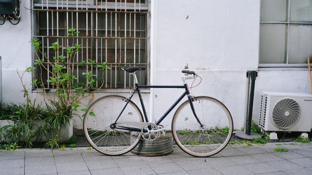 NKS02678-1849506.jpg?v=1759571549