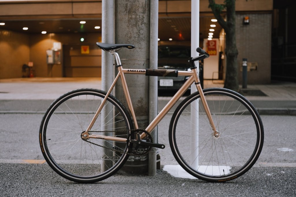 NKS03435-7689819.jpg?v=1759571283