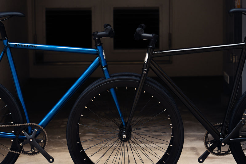 Angelino2024のニューカラーが登場!