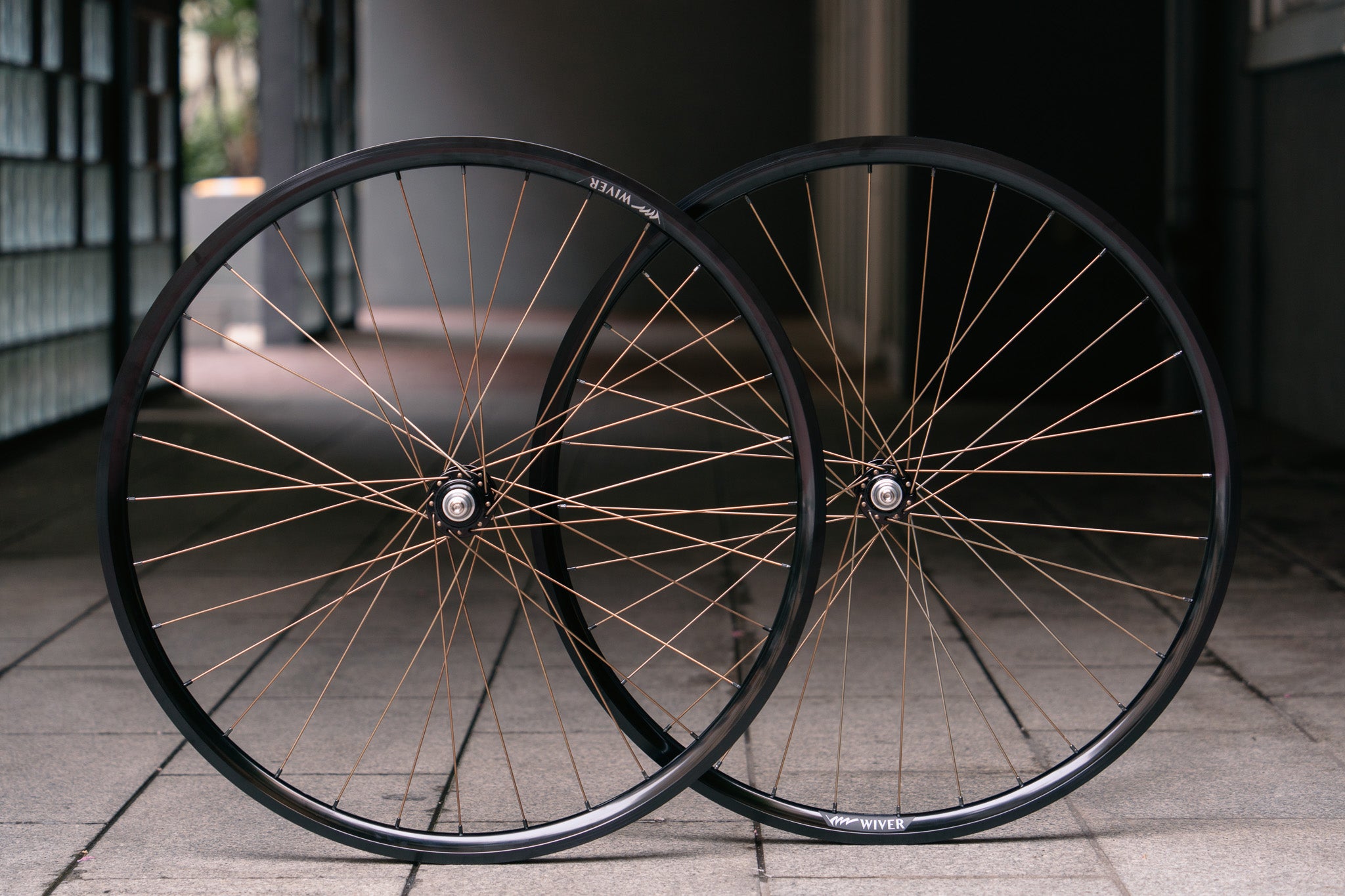 ポークヒレ BROTURES WIVER x RAKETA x HOSHI Peregrine Spoke