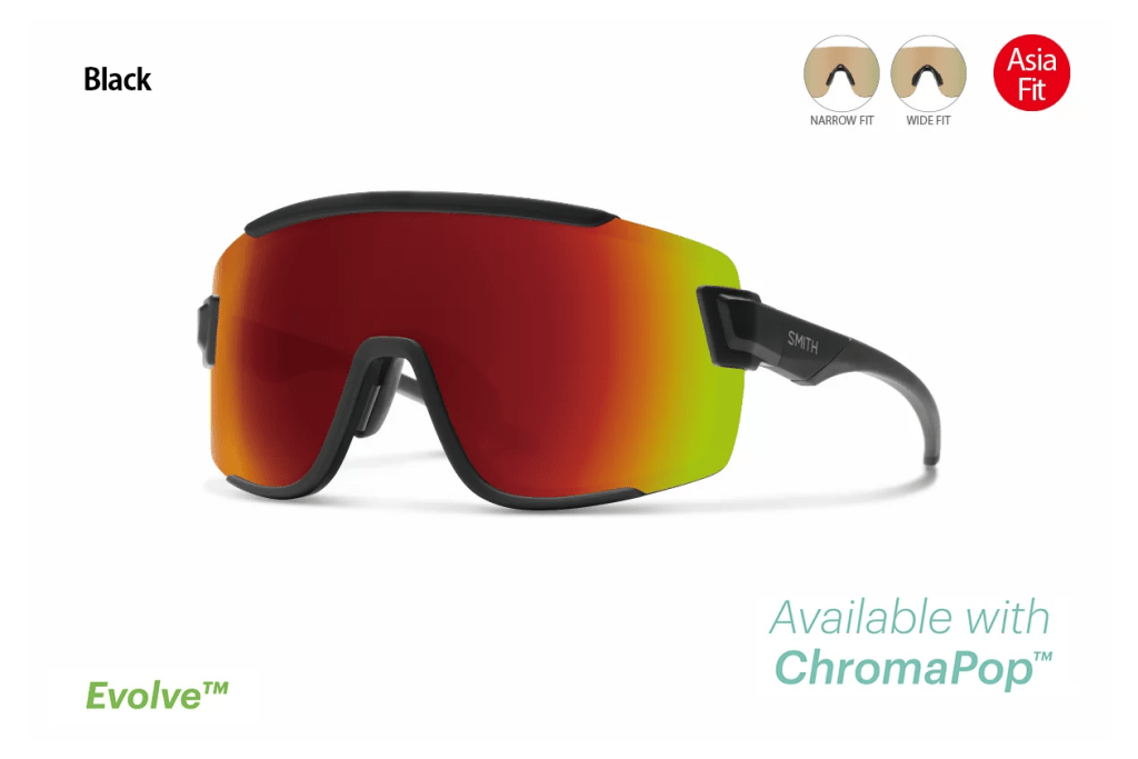 SMITH Wildcat Asia Fit SMITH Wildcat Asia Fit