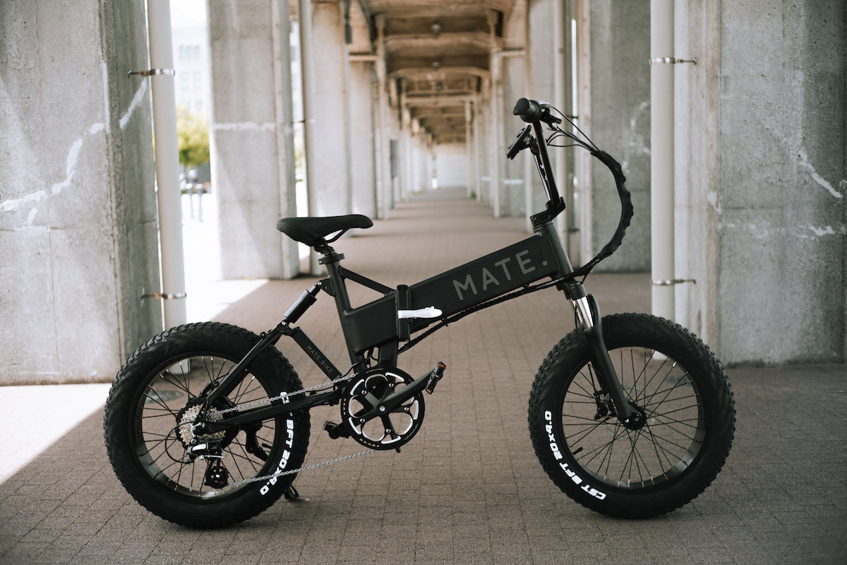 MATE X純正 カラーディスプレイ matebike メイトバイク - 自転車本体
