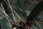 H PLUS SON SL - 42 x PHILWOOD x HOSHI Peregrine Spoke - 4 - BROTURES