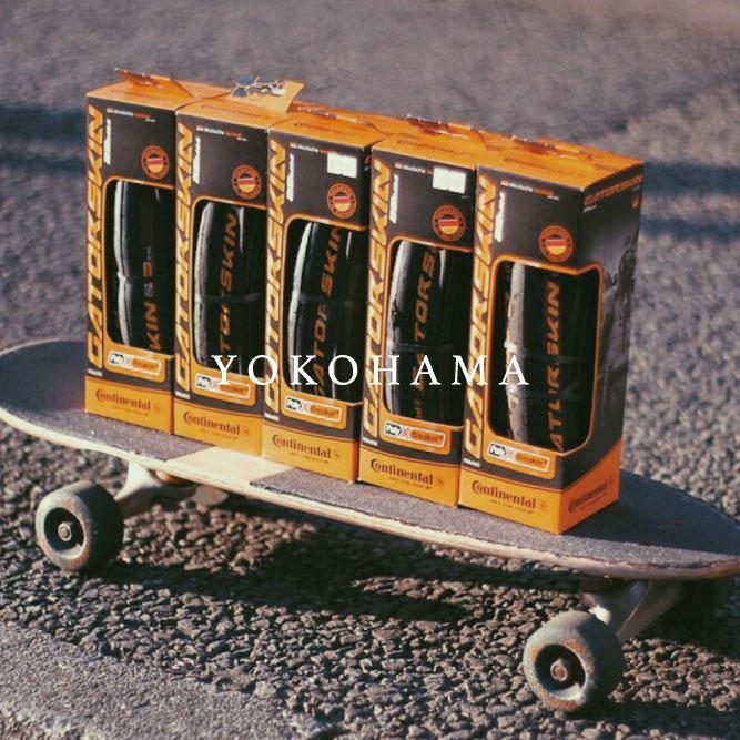 CONTINENTAL GATORSKIN !