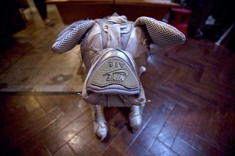 HOLD FAST入荷！！