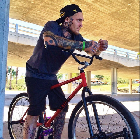 Steven Jensen bar COMMING SOON!!!!!!