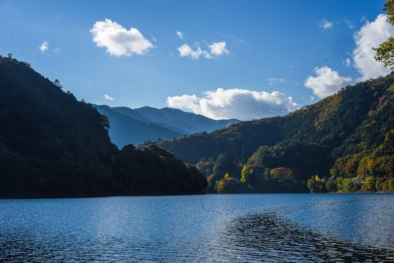 今週の一人上手