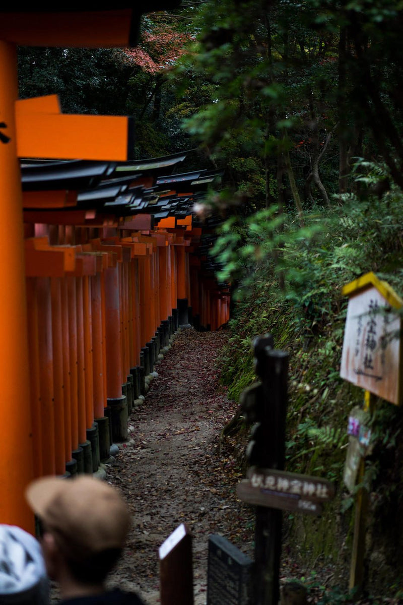 今週の一人上手