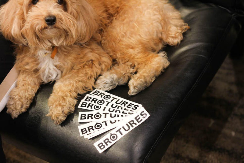 メンテナンスに来ると今なステッカープレゼント！