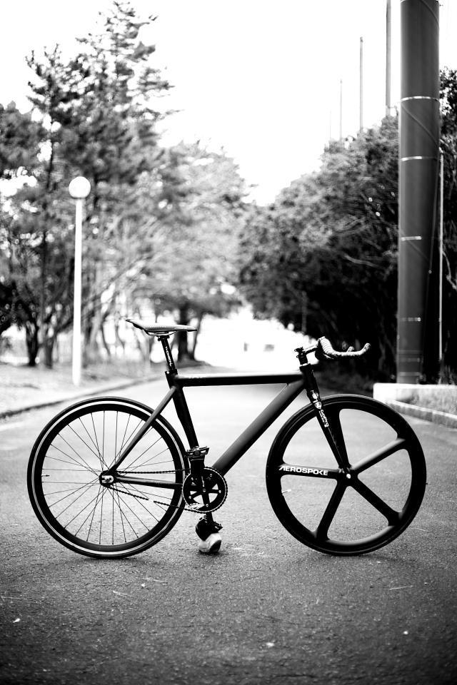 Shred Allday VOL.2 番外編