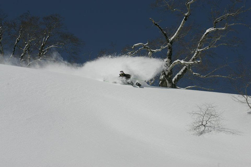 Athlete coming BROTURES！