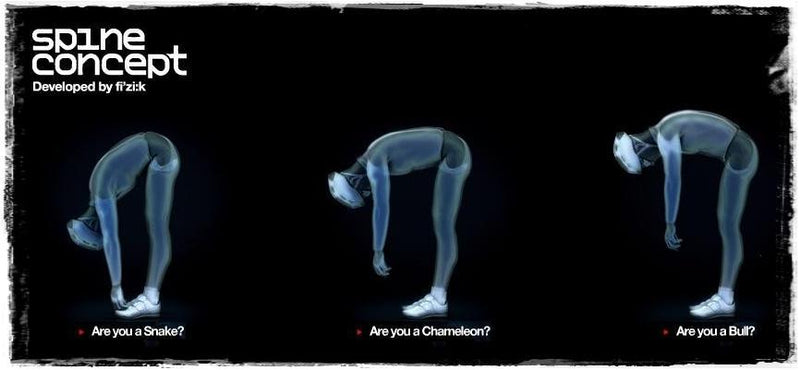 BROTURES HARAJUKU Recommend 