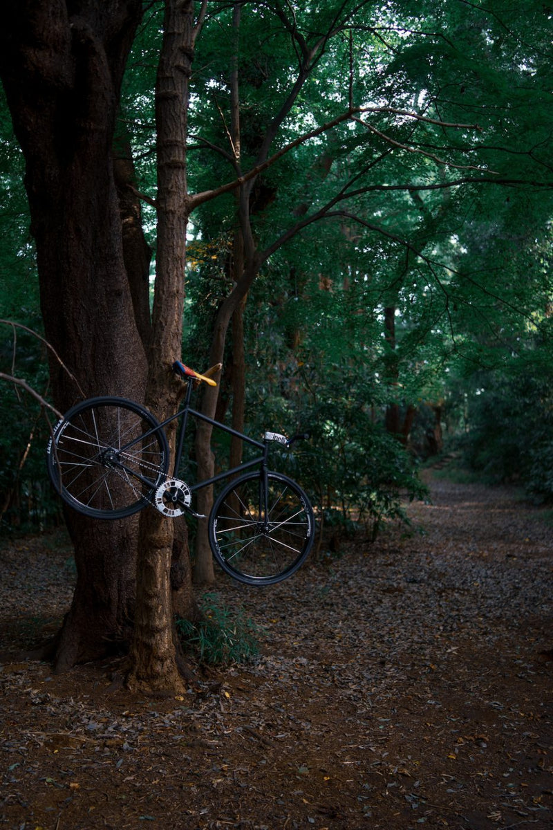 週末バイクチェック