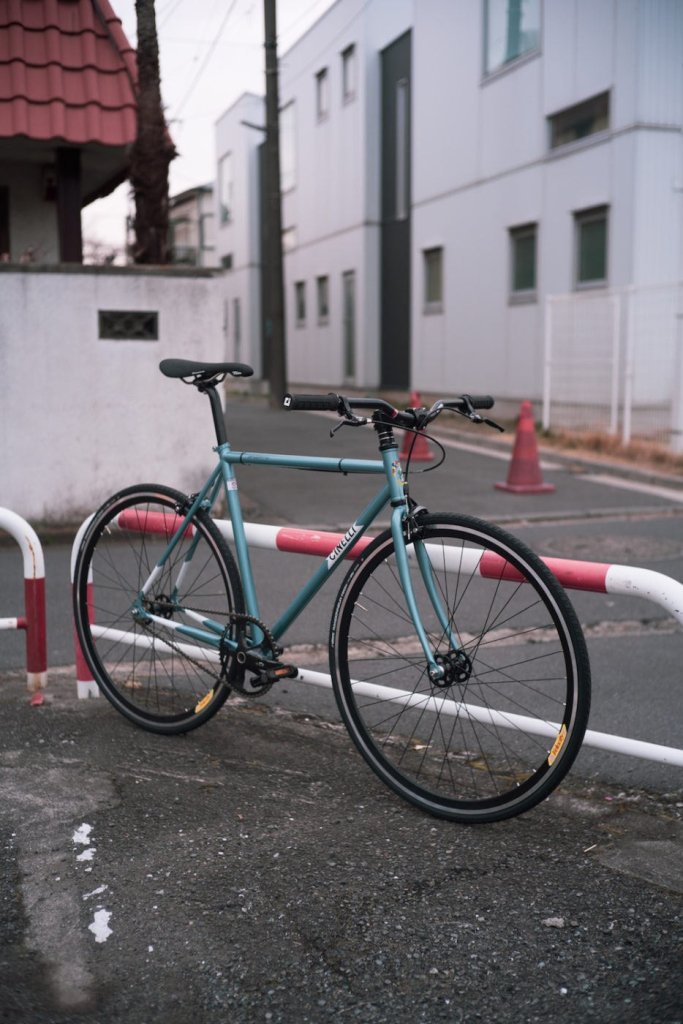 最初の相棒におすすめ!!
