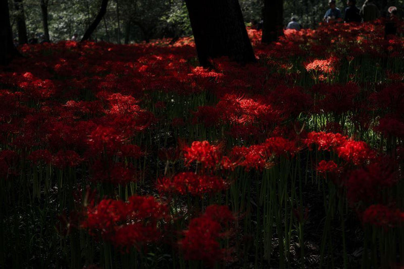 今週の一人上手