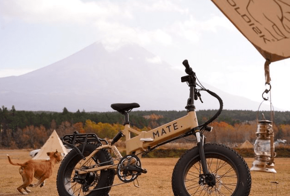 MATEの人気カラーが今月ゲットできちゃう！？今年ラストチャンス！