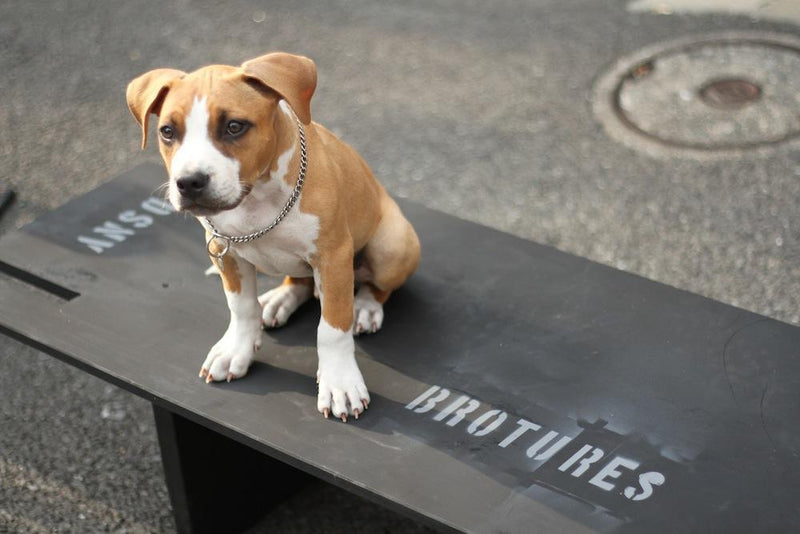 Customer's LEADER BIKES 725TR Complete + α