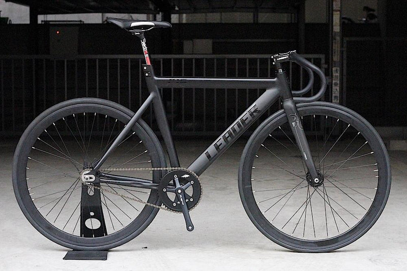 LEADER BIKES 725TR + α = ???