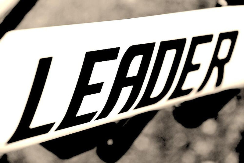 LEADER BIKE 735TR BROOKS CUSTOM.