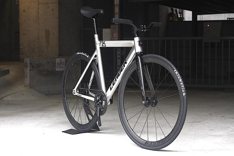 LEADER BIKES 725TR POLISH CUSTOM BIKE.