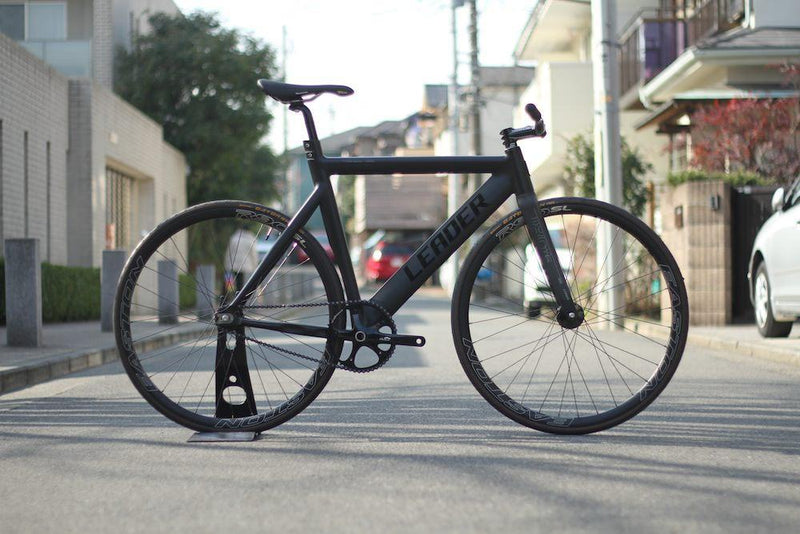 LEADER BIKES 735TR  Light Custom