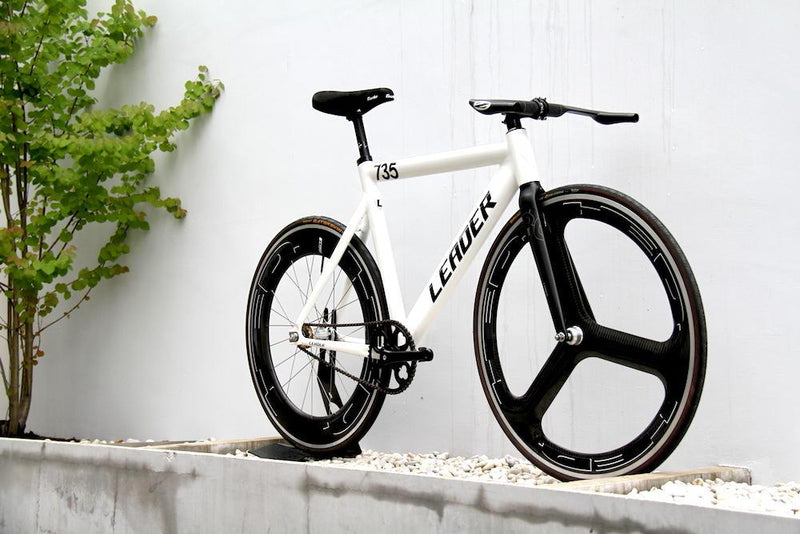 735TR VS HED＆BRADIO NEW RELEASE