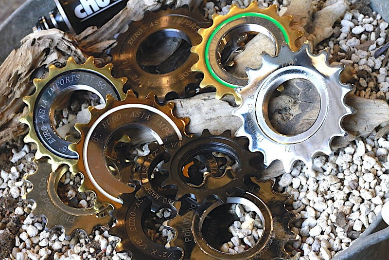 コグは何がオススメ？どう選べばいい？コグの違い徹底分析。