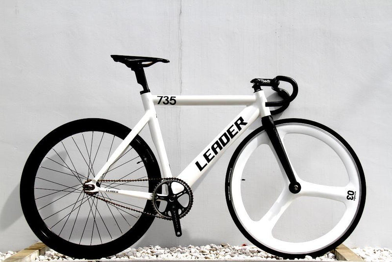 LEADER BIKE 735TR Custom Bike
