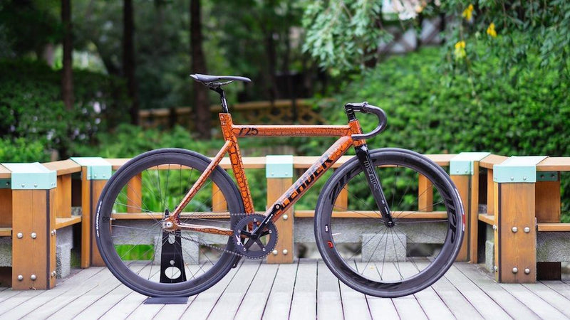 725T-REX×ZIPP CUSTOM 　