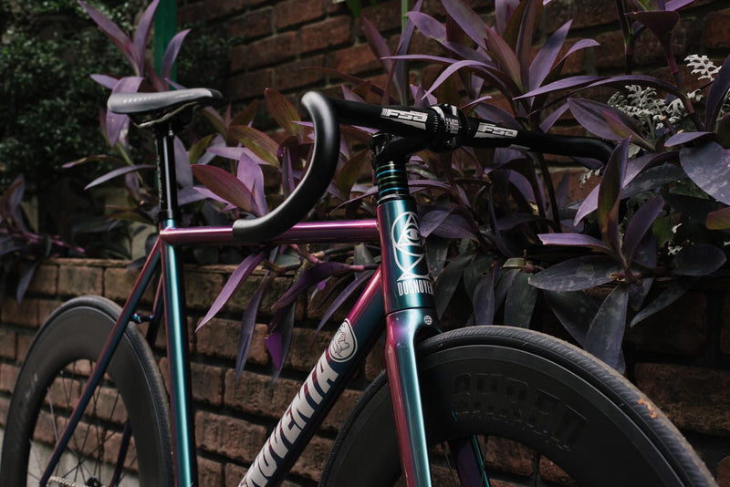DOSNOVENTA EDINBURGH KICHIJOJI CUSTOM.