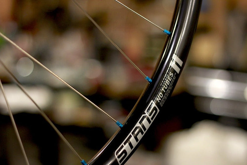 カラー物が流行ってる？