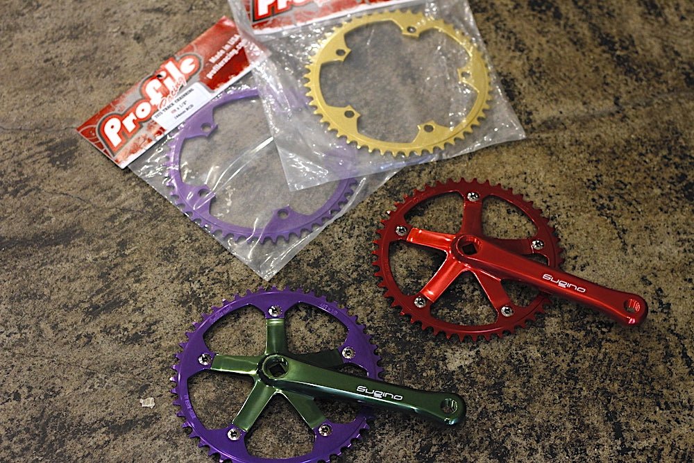 MG_6308-1130001.jpg?v=1759566879