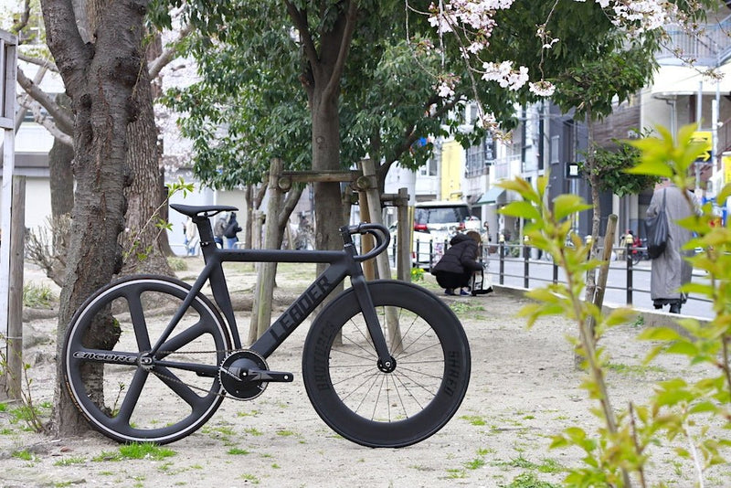 王道。ディープにバトンホイール。LEADER BIKES 735TR