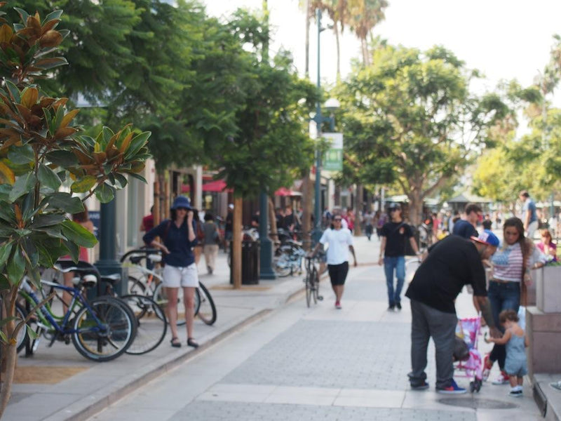 Road Trip from L.A. to San Jose w S_NARUMI & NORI0419