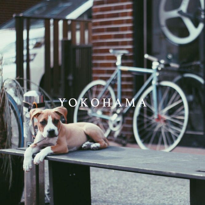 ヨコハマ店の特徴は