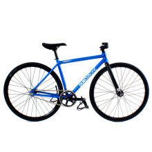 DURCUS ONE ダーカスワン　MASTER 2012 もうじき入荷！！