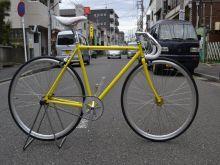 FUJI フェザー入荷！！