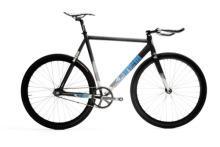 ついにヤツらがやってきた！！