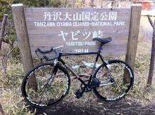 写真が送られてきました！