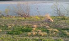 徳島　吉野川×AFFINITY LO PRO