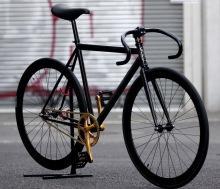 LEADERBIKE722TS BROTURESオリジナルカスタム完成車