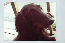 クリスマスセール的な感じで。