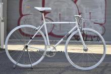 CRAZY SHEEPも大特価！