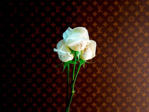 LEADER BIKE 721TR For Girl's Vol,2 L,V Custom