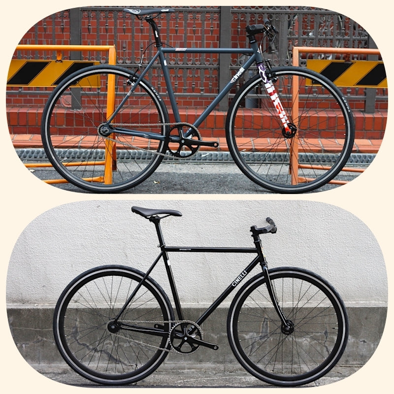 CINELLIの細身モデル！