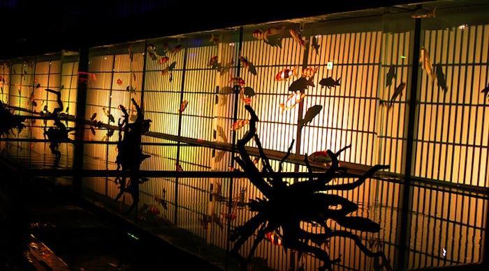 『水中浮遊江戸二輪散歩』グループライド予定！