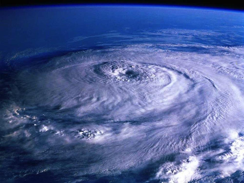 What do you do a rainy day?