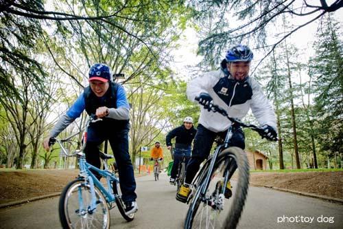 Cycle Speedway Japan